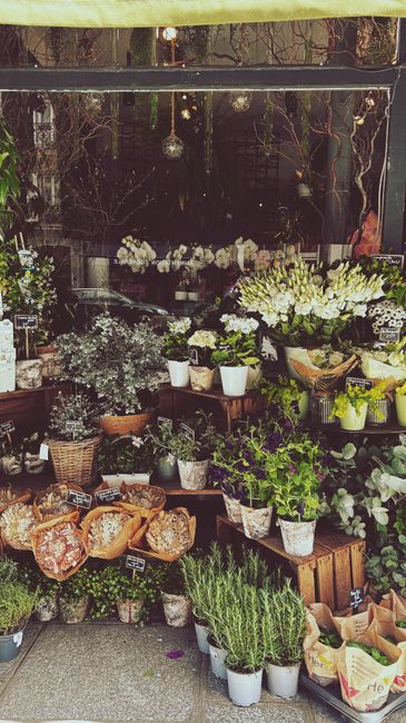 A florist shop window display featuring an abundant assortment of fresh flowers and plants. Prominent in the arrangement are white and light yellow flowers, possibly hydrangeas and chrysanthemums, set