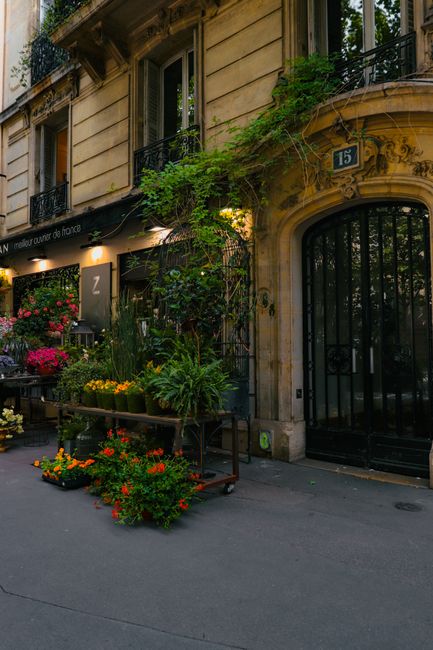 A display of potted flowering plants and greenery arranged on wooden tables and crates outside a charming building with a black wrought iron gate, stone facade, and signage indicating a flower shop. T